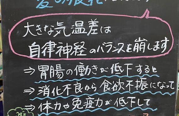 松原市の品川薬局は、自律神経の乱れからくる「秋バテ」の症状についてもご相談ください